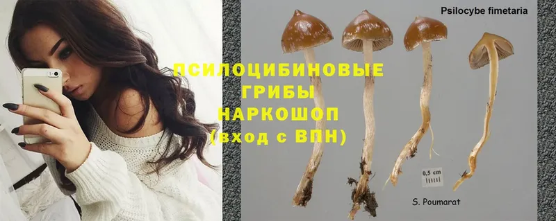 купить наркотики цена  Крым  Псилоцибиновые грибы MAGIC MUSHROOMS 